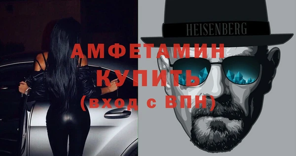индика Абинск