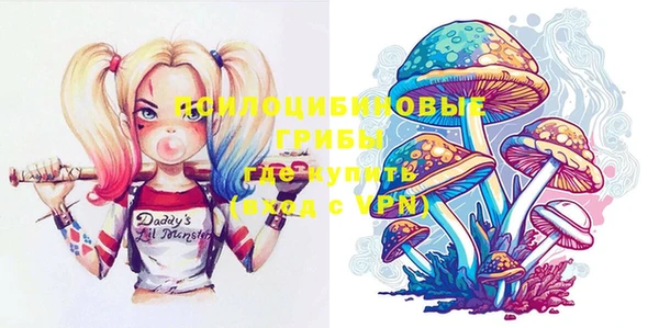 индика Абинск