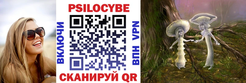 Псилоцибиновые грибы Psilocybe Югорск