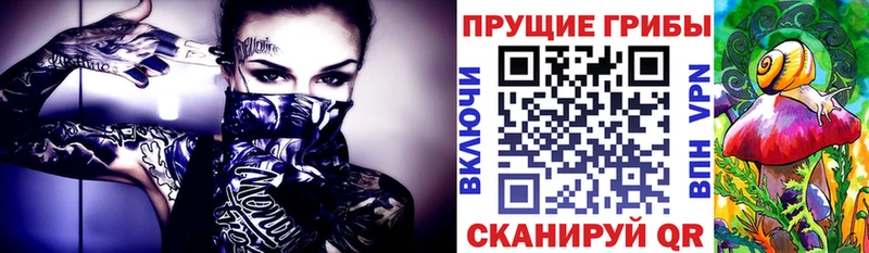 дарнет шоп Югорск omg как войти Галлюциногенные грибы Cubensis